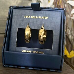 House of Harlow 1960 earrings